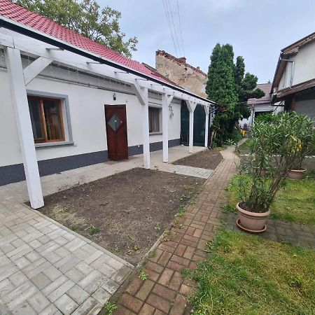 Peaceful&Central Apartment With Garden Târgu-Mureş Exteriör bild